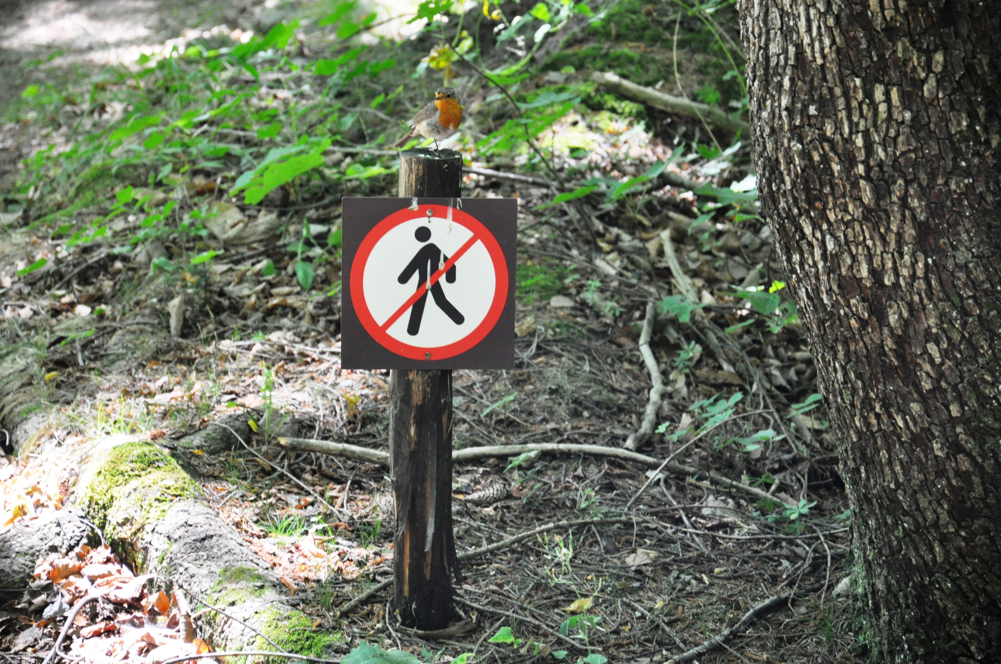 ????????????????????????????????????